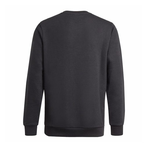 Bluza Adidas Essentials Big Logo JR