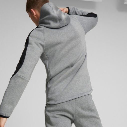Hanorac Puma Evostripe Full-Zip