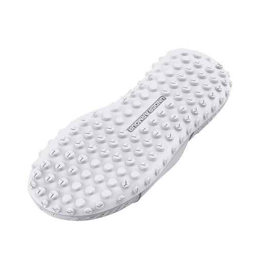 Slapi Under Armour Project Rock 3